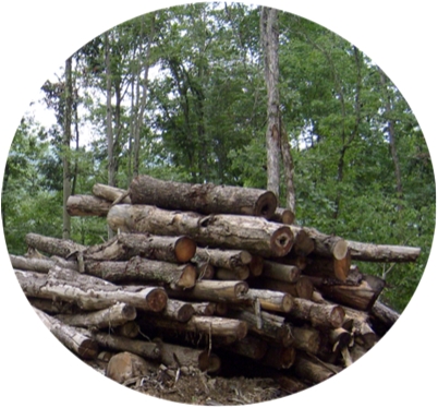 small wood